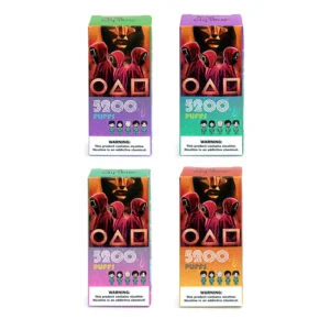 RandM Squid Box 5200 disposable vape