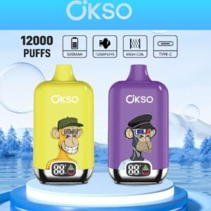 OKSO Digital Box 12K disposable vape
